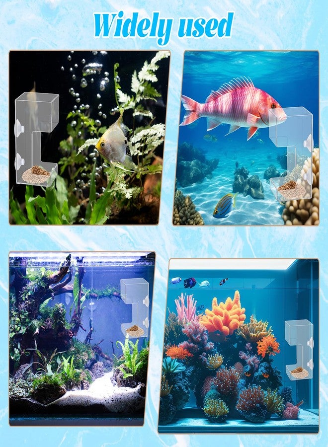Alrhso Fish Tank Feeding Tray Fish Tank Feeder Aquarium Feeding Dish with Suction Cup 3.9x2.4 Inch Feeding-Tube Ring Container Holder Dispenser for Shrimp Turtle - Image 5